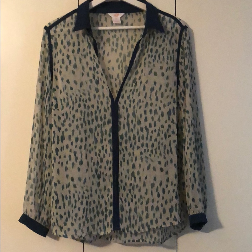 Sheer Blouse